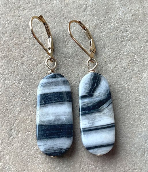 Petrified Wood Earrings